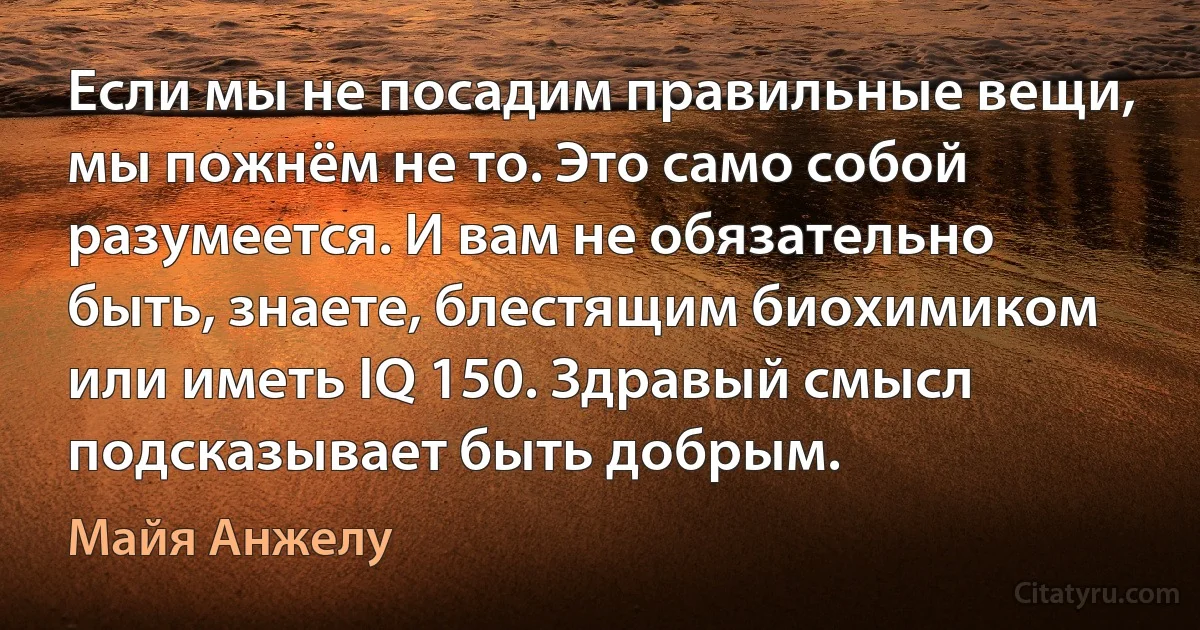 Если мы не посадим правильные вещи, мы пожнём не то. Это само собой разумеется. И вам не обязательно быть, знаете, блестящим биохимиком или иметь IQ 150. Здравый смысл подсказывает быть добрым. (Майя Анжелу)