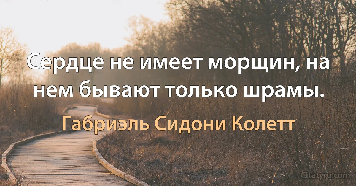 Сердце не имеет морщин, на нем бывают только шрамы. (Габриэль Сидони Колетт)