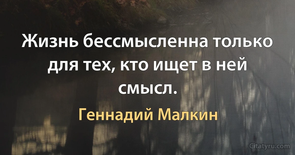 Жизнь бессмысленна только для тех, кто ищет в ней смысл. (Геннадий Малкин)