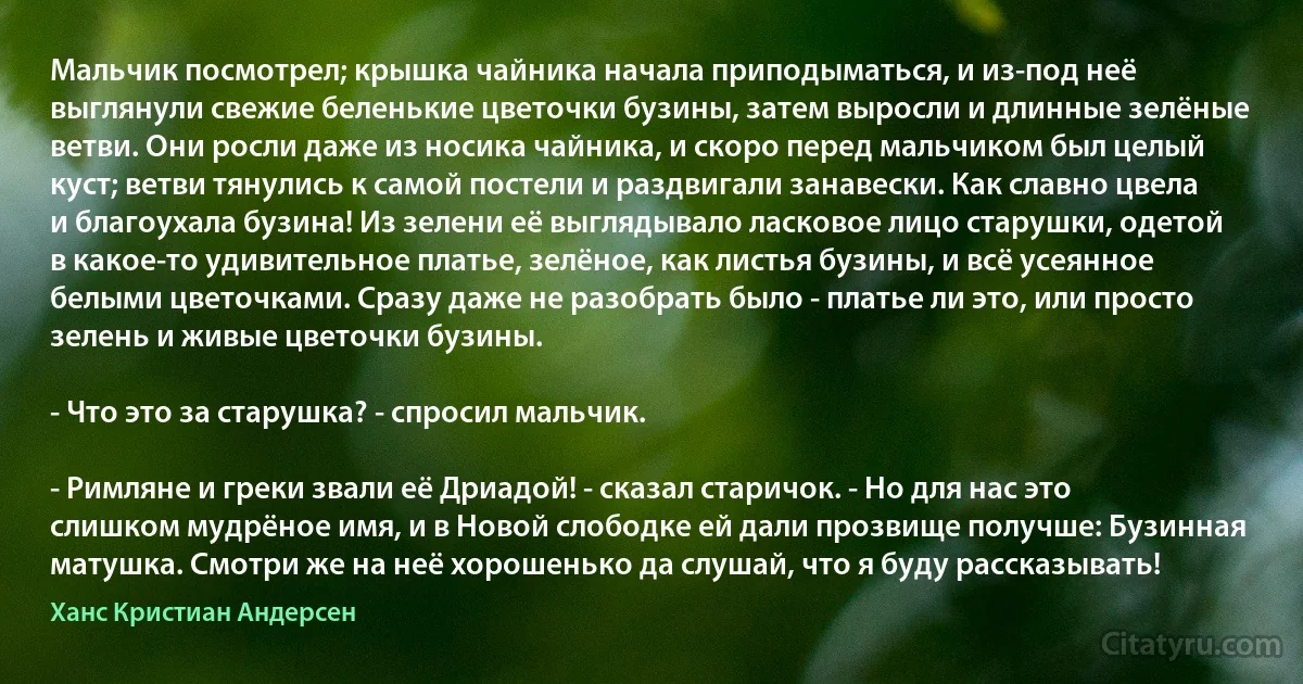 Мальчик посмотрел; крышка чайника начала приподыматься, и из-под неё выглянули свежие беленькие цветочки бузины, затем выросли и длинные зелёные ветви. Они росли даже из носика чайника, и скоро перед мальчиком был целый куст; ветви тянулись к самой постели и раздвигали занавески. Как славно цвела и благоухала бузина! Из зелени её выглядывало ласковое лицо старушки, одетой в какое-то удивительное платье, зелёное, как листья бузины, и всё усеянное белыми цветочками. Сразу даже не разобрать было - платье ли это, или просто зелень и живые цветочки бузины.

- Что это за старушка? - спросил мальчик.

- Римляне и греки звали её Дриадой! - сказал старичок. - Но для нас это слишком мудрёное имя, и в Новой слободке ей дали прозвище получше: Бузинная матушка. Смотри же на неё хорошенько да слушай, что я буду рассказывать! (Ханс Кристиан Андерсен)