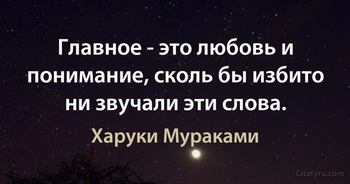 Главное - это любовь и понимание, сколь бы избито ни звучали эти слова. (Харуки Мураками)