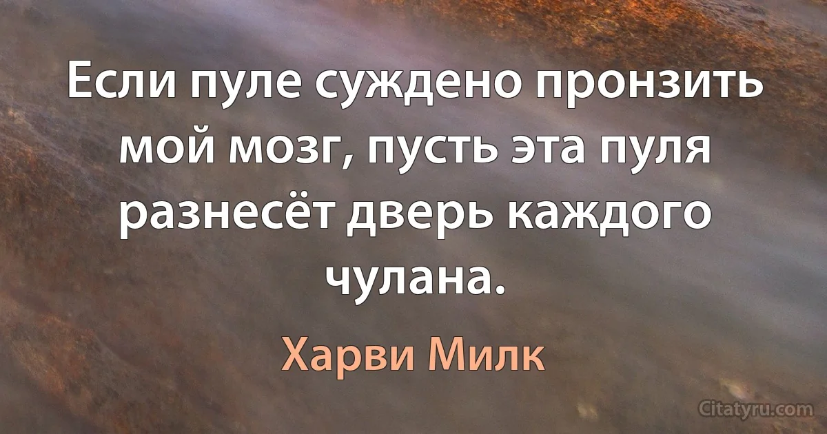 Если пуле суждено пронзить мой мозг, пусть эта пуля разнесёт дверь каждого чулана. (Харви Милк)