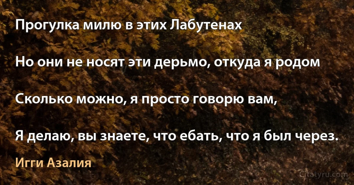 Прогулка милю в этих Лабутенах

Но они не носят эти дерьмо, откуда я родом

Сколько можно, я просто говорю вам,

Я делаю, вы знаете, что ебать, что я был через. (Игги Азалия)