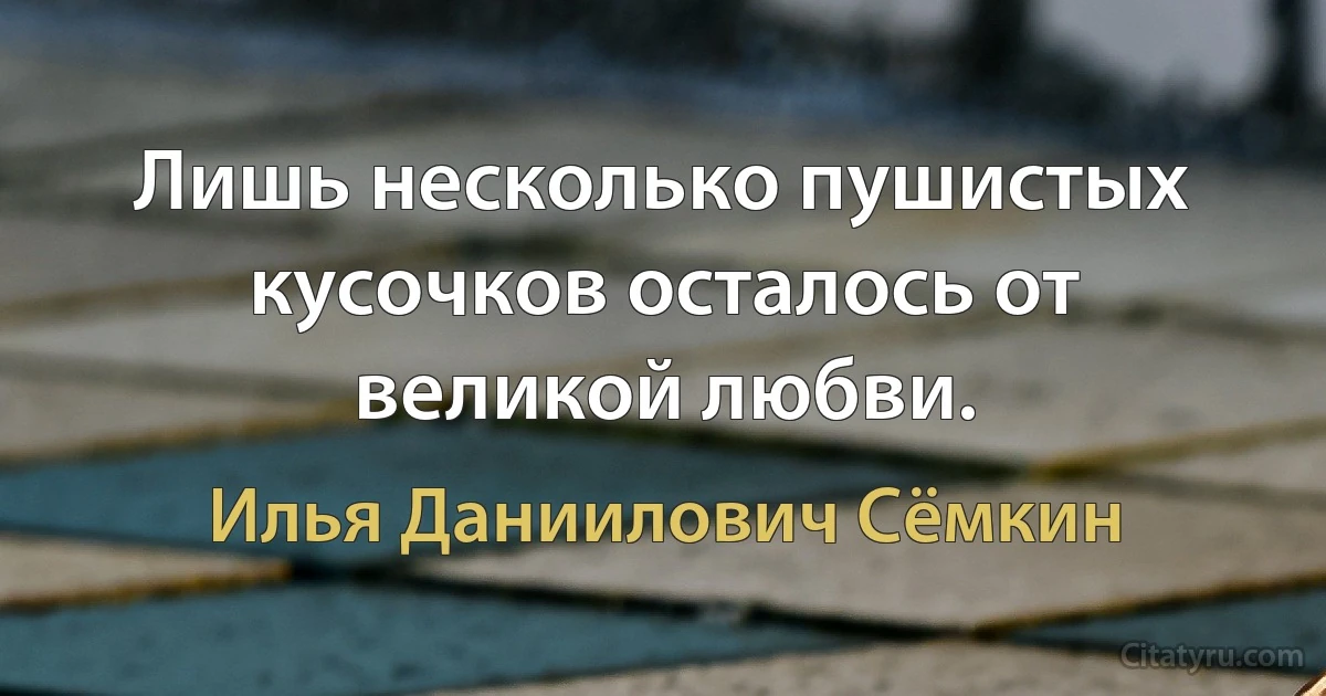 Лишь несколько пушистых кусочков осталось от великой любви. (Илья Даниилович Сёмкин)