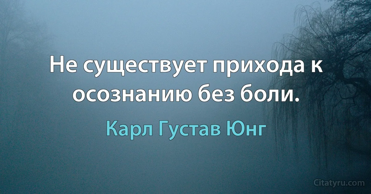 Не существует прихода к осознанию без боли. (Карл Густав Юнг)