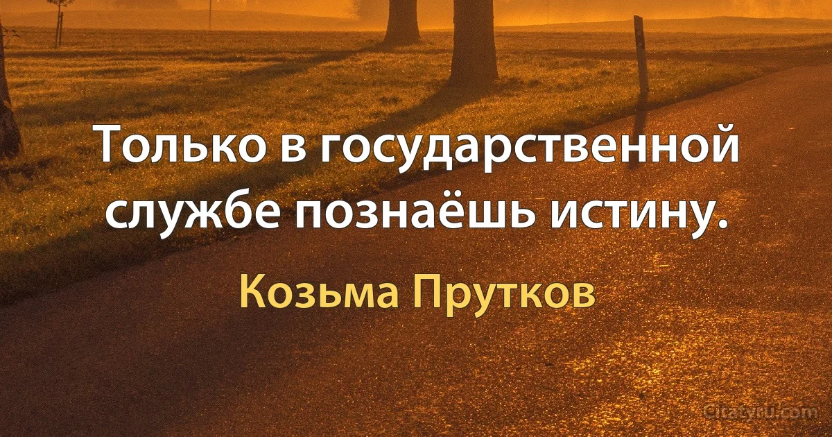 Только в государственной службе познаёшь истину. (Козьма Прутков)