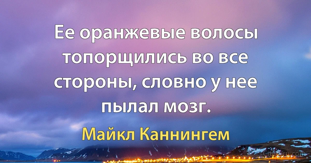 Ее оранжевые волосы топорщились во все стороны, словно у нее пылал мозг. (Майкл Каннингем)