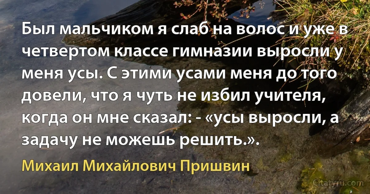 Был мальчиком я слаб на волос и уже в четвертом классе гимназии выросли у меня усы. С этими усами меня до того довели, что я чуть не избил учителя, когда он мне сказал: - «усы выросли, а задачу не можешь решить.». (Михаил Михайлович Пришвин)