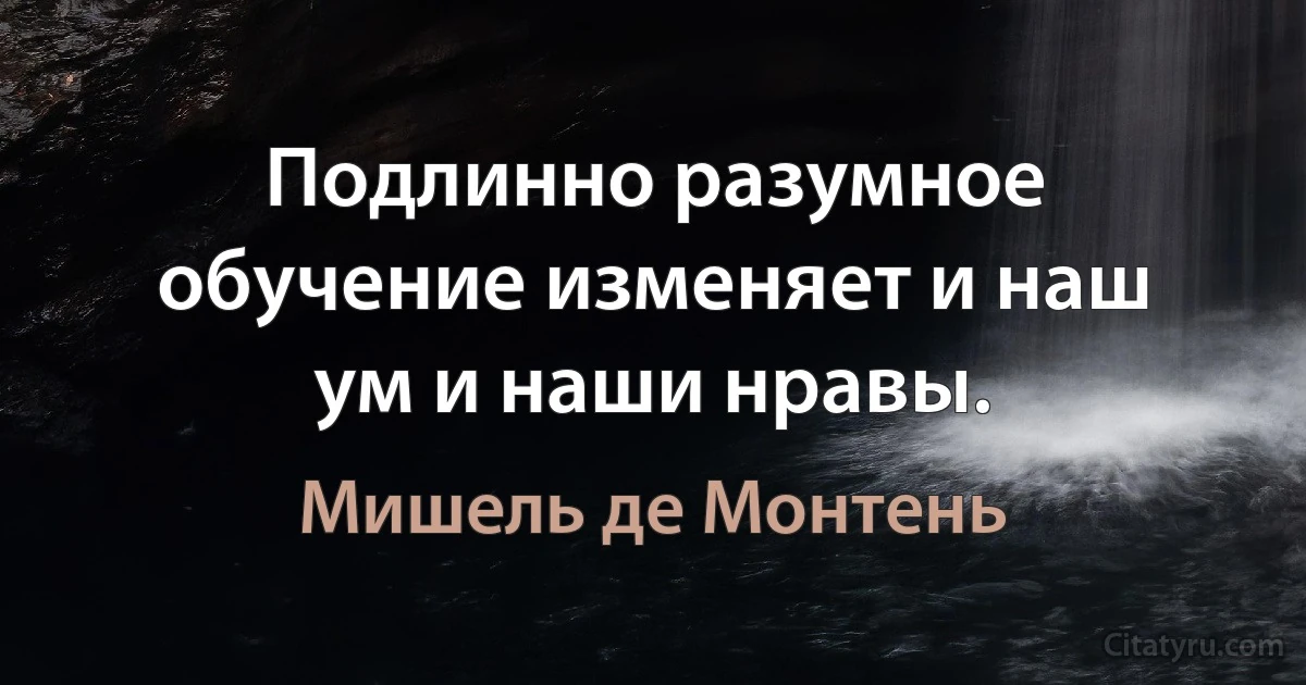 Подлинно разумное обучение изменяет и наш ум и наши нравы. (Мишель де Монтень)