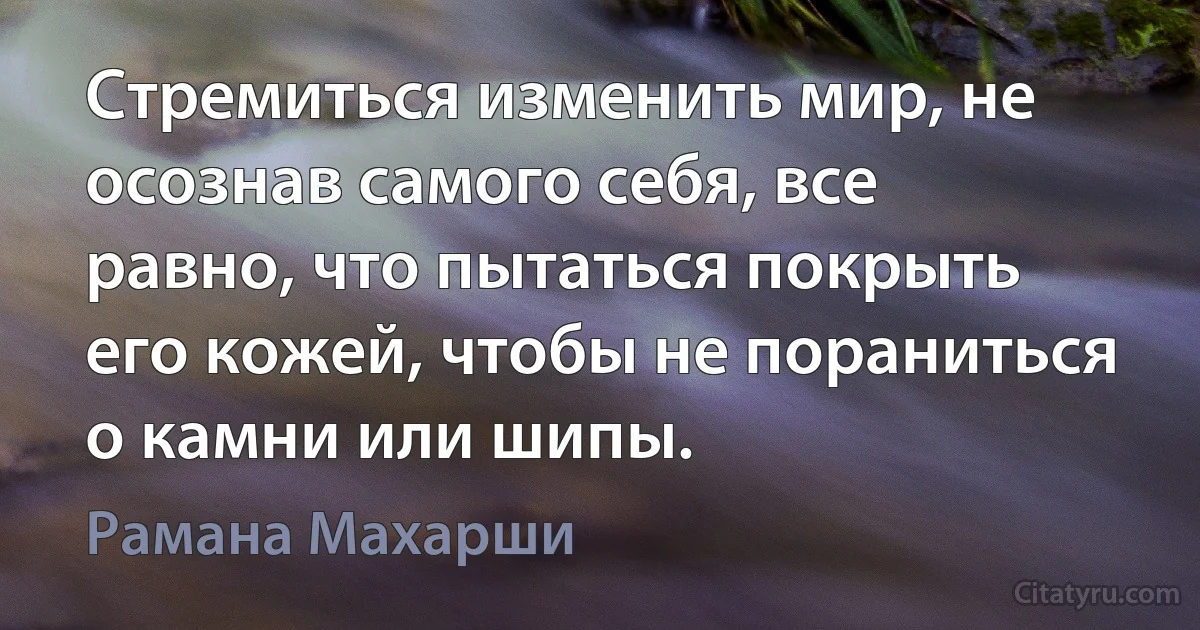 Стремиться изменить мир, не осознав самого себя, все равно, что пытаться покрыть его кожей, чтобы не пораниться о камни или шипы. (Рамана Махарши)