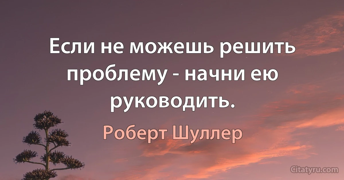 Если не можешь решить проблему - начни ею руководить. (Роберт Шуллер)