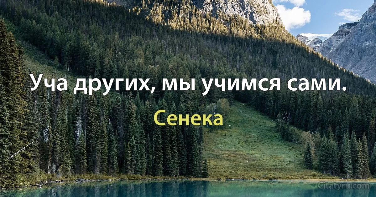 Уча других, мы учимся сами. (Сенека)