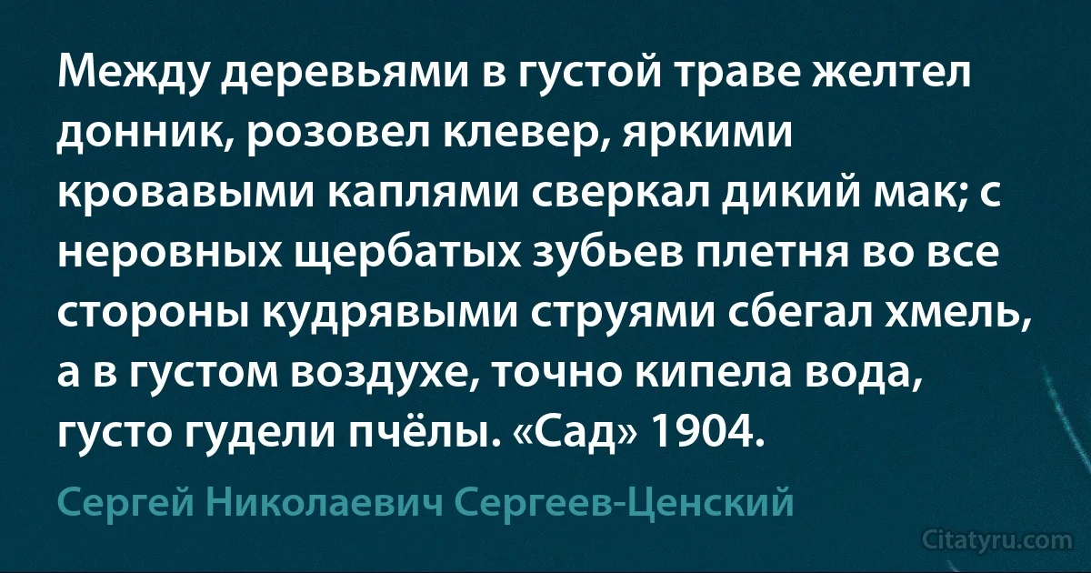 Между деревьями в густой траве желтел донник, розовел клевер, яркими кровавыми каплями сверкал дикий мак; с неровных щербатых зубьев плетня во все стороны кудрявыми струями сбегал хмель, а в густом воздухе, точно кипела вода, густо гудели пчёлы. «Сад» 1904. (Сергей Николаевич Сергеев-Ценский)