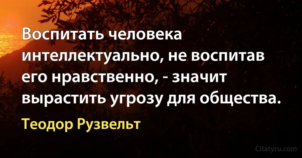 Воспитать человека интеллектуально, не воспитав его нравственно, - значит вырастить угрозу для общества. (Теодор Рузвельт)