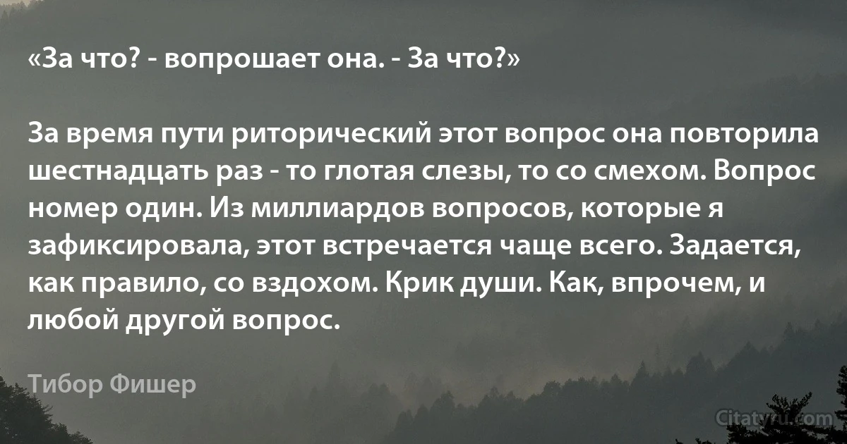 «За что? - вопрошает она. - За что?»

За время пути риторический этот вопрос она повторила шестнадцать раз - то глотая слезы, то со смехом. Вопрос номер один. Из миллиардов вопросов, которые я зафиксировала, этот встречается чаще всего. Задается, как правило, со вздохом. Крик души. Как, впрочем, и любой другой вопрос. (Тибор Фишер)