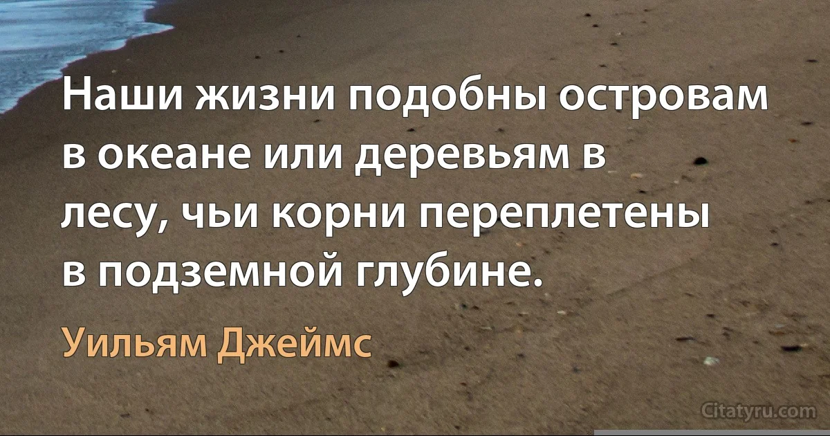 Наши жизни подобны островам в океане или деревьям в лесу, чьи корни переплетены в подземной глубине. (Уильям Джеймс)