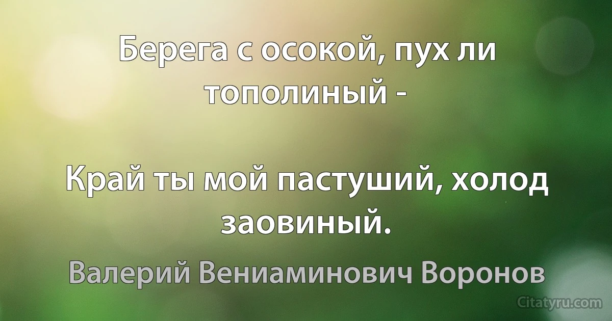 Берега с осокой, пух ли тополиный -

Край ты мой пастуший, холод заовиный. (Валерий Вениаминович Воронов)