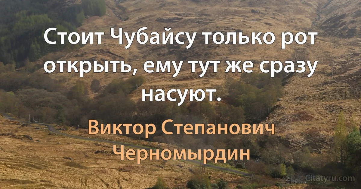 Стоит Чубайсу только рот открыть, ему тут же сразу насуют. (Виктор Степанович Черномырдин)