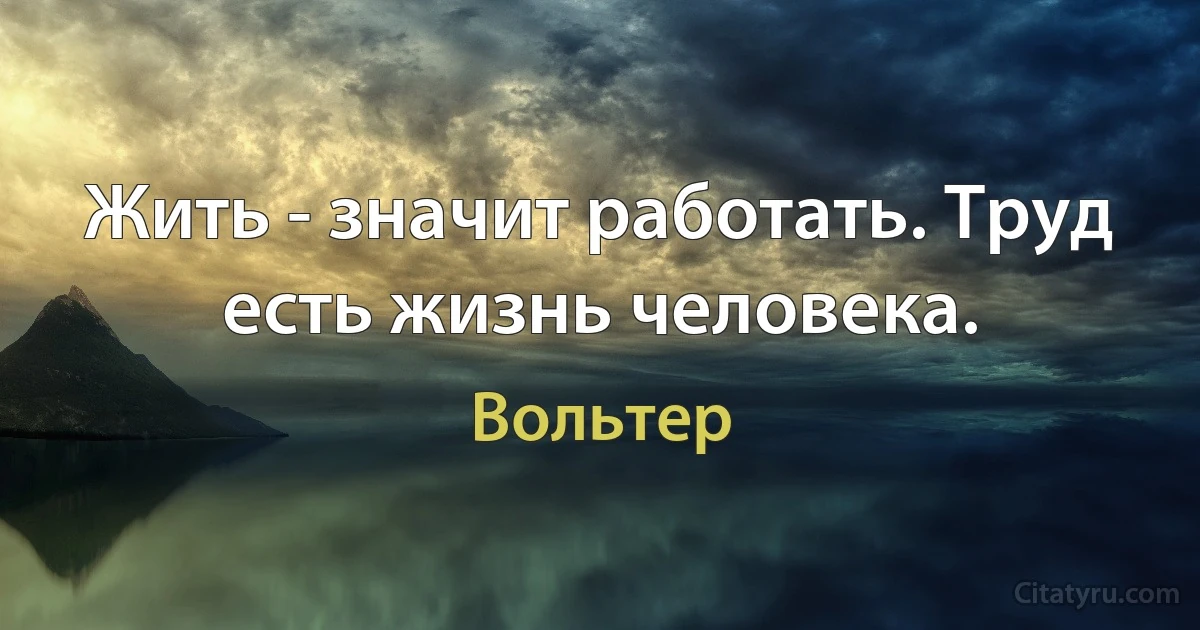 Жить - значит работать. Труд есть жизнь человека. (Вольтер)