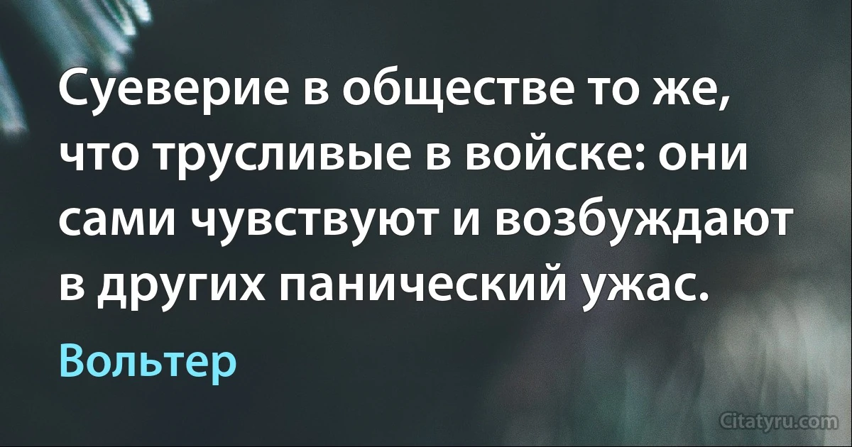 Суеверие в обществе то же, что трусливые в войске: они сами чувствуют и возбуждают в других панический ужас. (Вольтер)