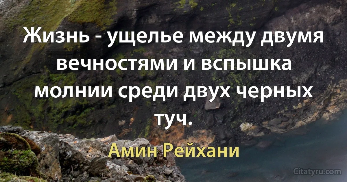 Жизнь - ущелье между двумя вечностями и вспышка молнии среди двух черных туч. (Амин Рейхани)