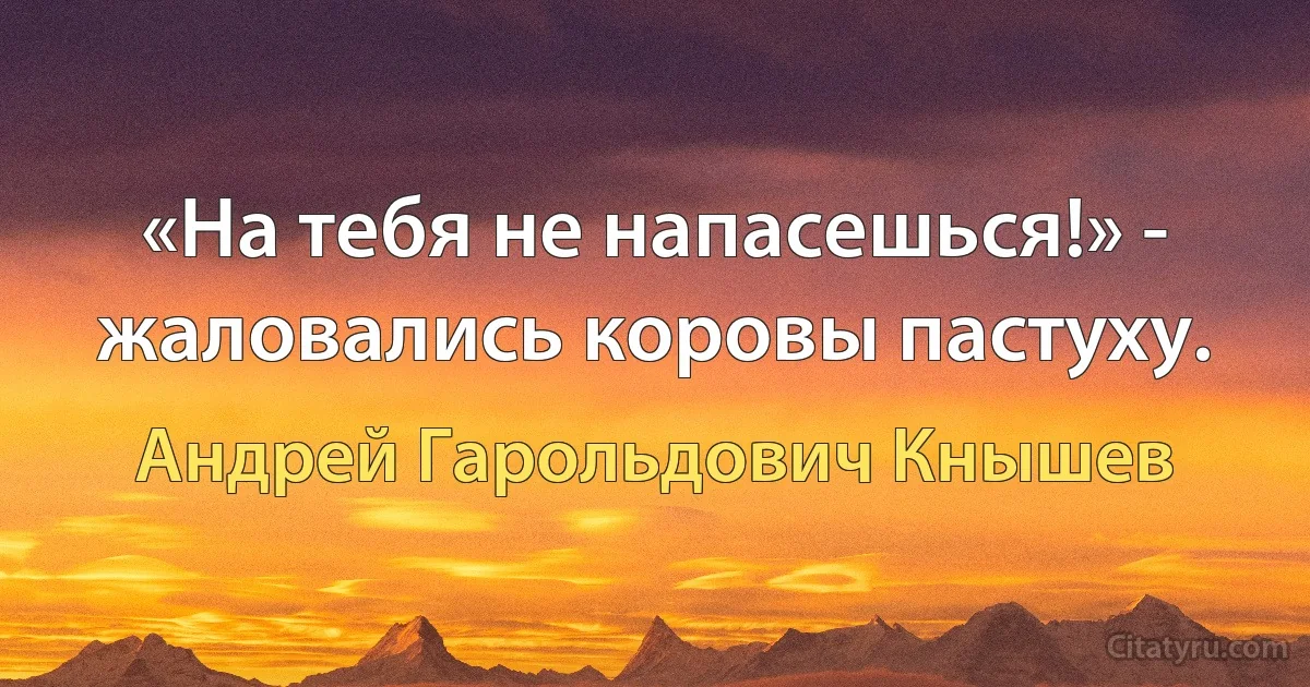 «На тебя не напасешься!» - жаловались коровы пастуху. (Андрей Гарольдович Кнышев)