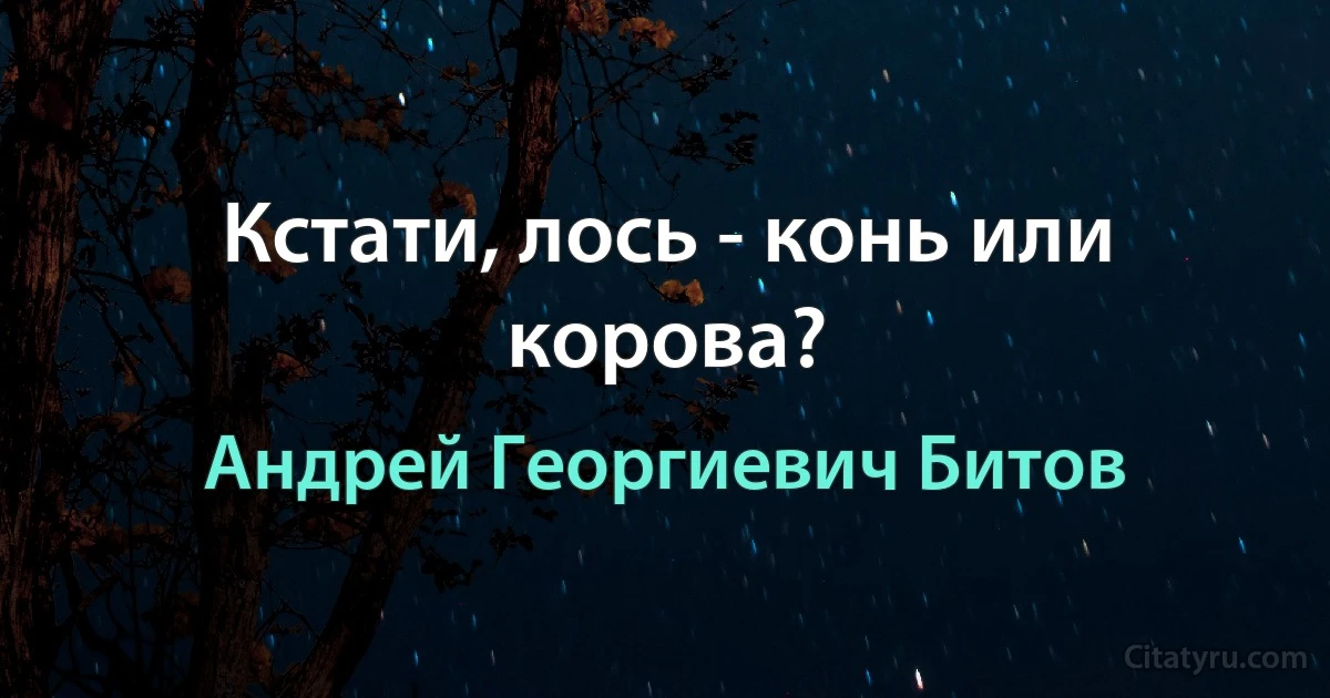 Кстати, лось - конь или корова? (Андрей Георгиевич Битов)