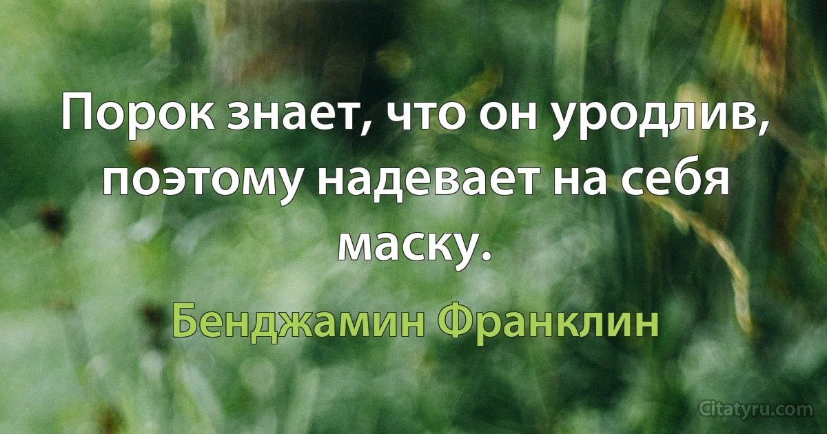 Порок знает, что он уродлив, поэтому надевает на себя маску. (Бенджамин Франклин)