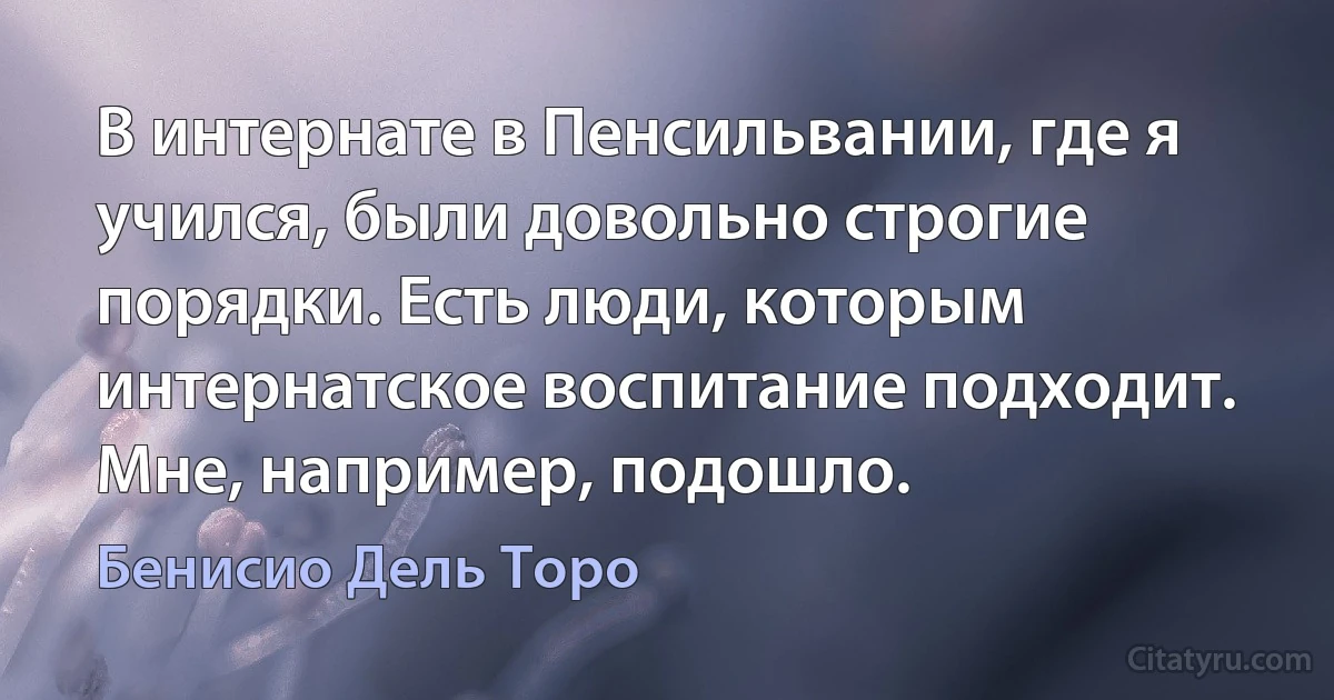 В интернате в Пенсильвании, где я учился, были довольно строгие порядки. Есть люди, которым интернатское воспитание подходит. Мне, например, подошло. (Бенисио Дель Торо)