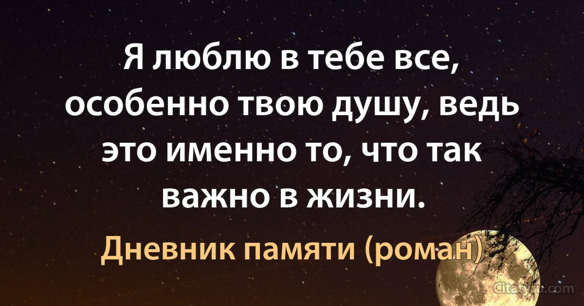 Я люблю в тебе все, особенно твою душу, ведь это именно то, что так важно в жизни. (Дневник памяти (роман))