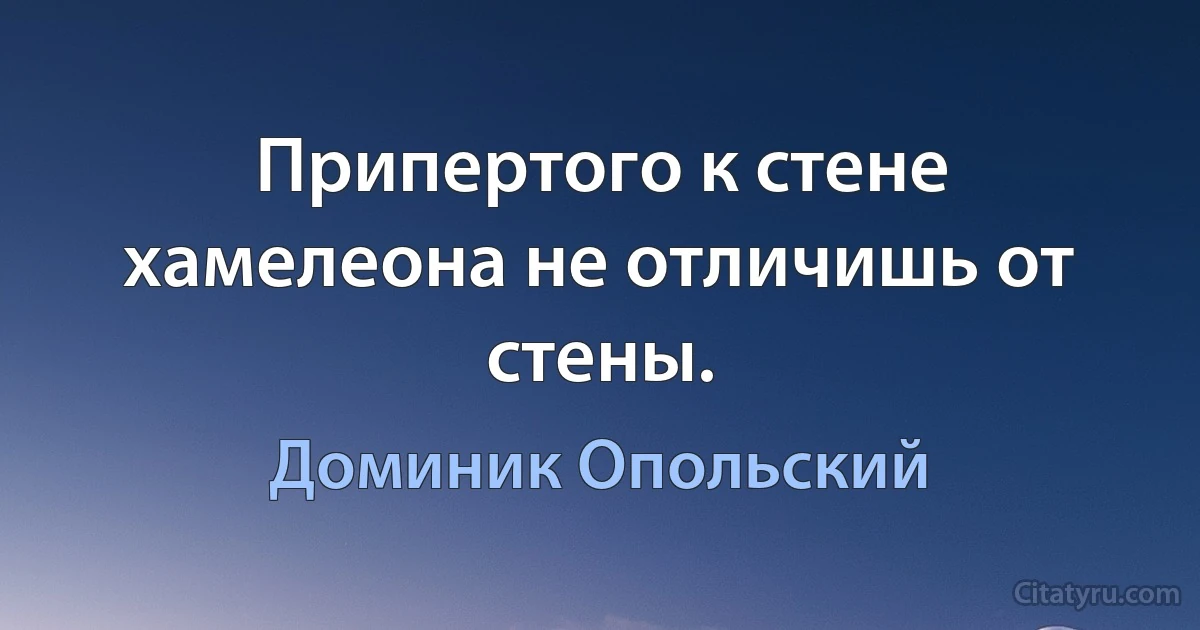 Припертого к стене хамелеона не отличишь от стены. (Доминик Опольский)