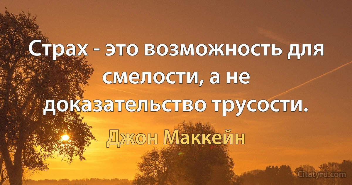 Страх - это возможность для смелости, а не доказательство трусости. (Джон Маккейн)