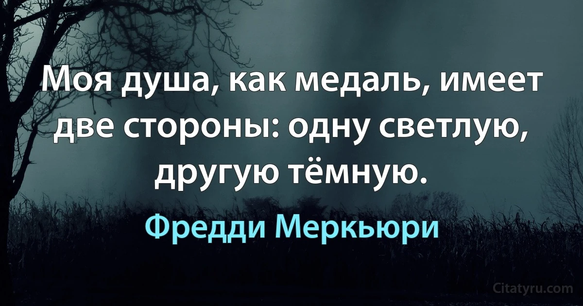 Моя душа, как медаль, имеет две стороны: одну светлую, другую тёмную. (Фредди Меркьюри)