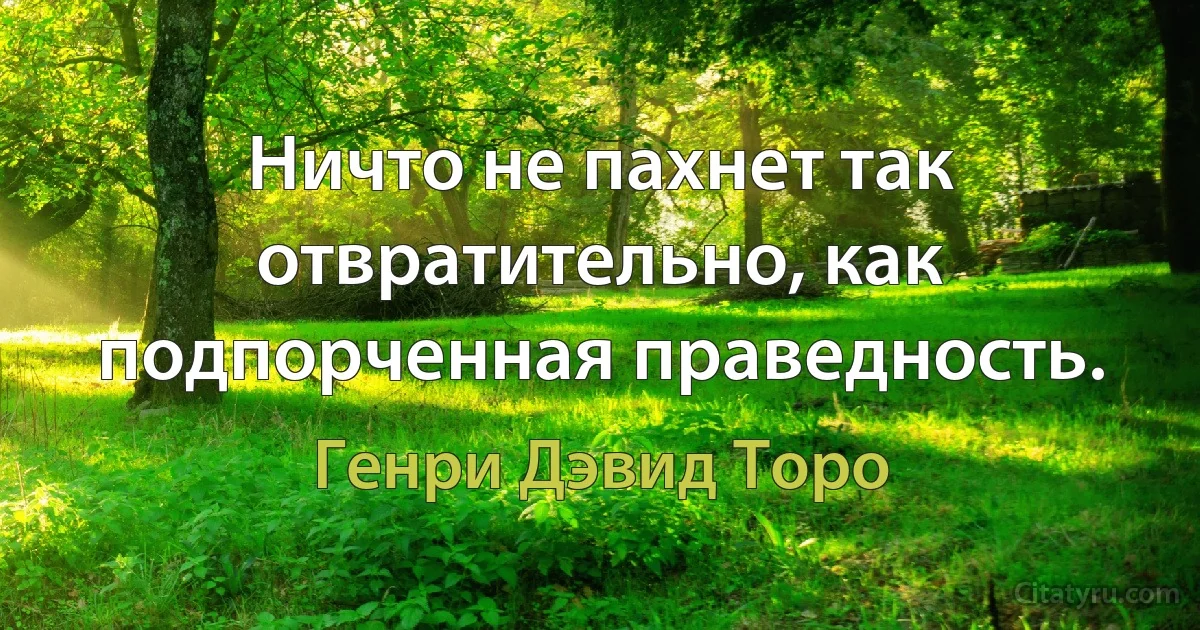 Ничто не пахнет так отвратительно, как подпорченная праведность. (Генри Дэвид Торо)