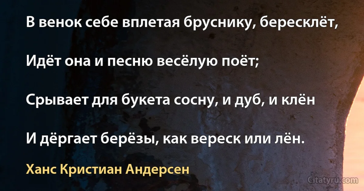 В венок себе вплетая бруснику, бересклёт,

Идёт она и песню весёлую поёт;

Срывает для букета сосну, и дуб, и клён

И дёргает берёзы, как вереск или лён. (Ханс Кристиан Андерсен)