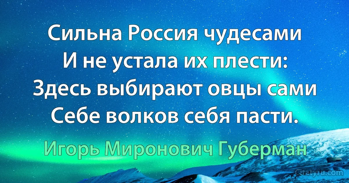 Сильна Россия чудесами
И не устала их плести:
Здесь выбирают овцы сами
Себе волков себя пасти. (Игорь Миронович Губерман)