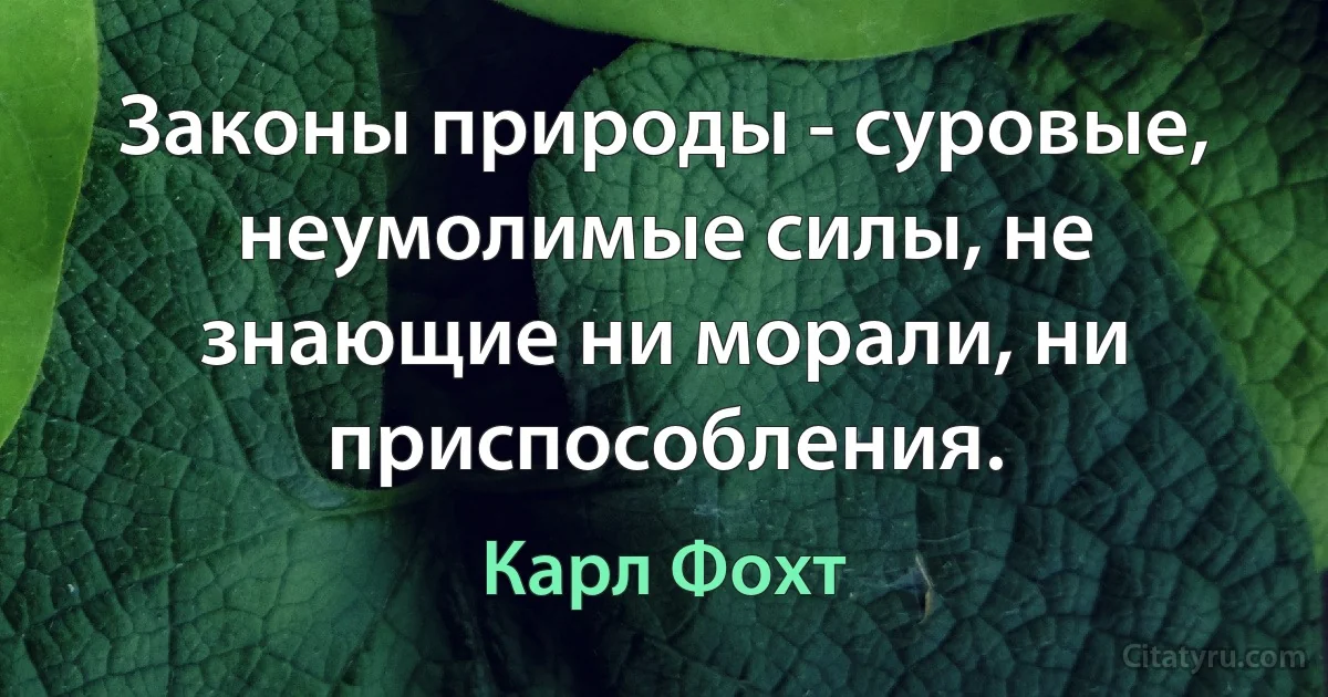 Законы природы - суровые, неумолимые силы, не знающие ни морали, ни приспособления. (Карл Фохт)