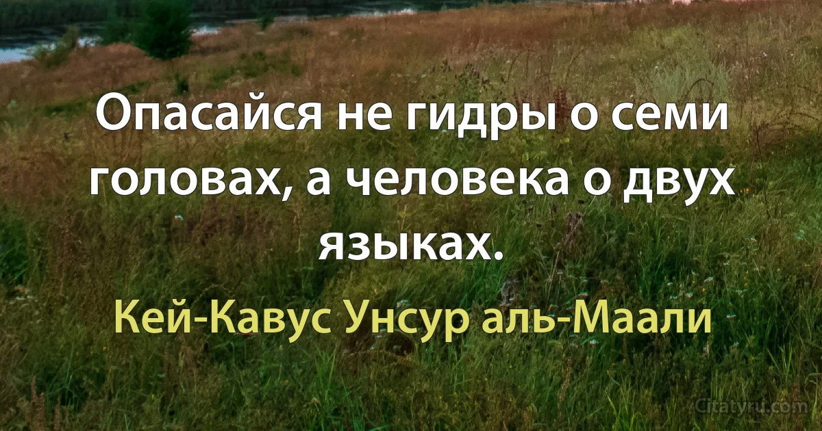 Опасайся не гидры о семи головах, а человека о двух языках. (Кей-Кавус Унсур аль-Маали)