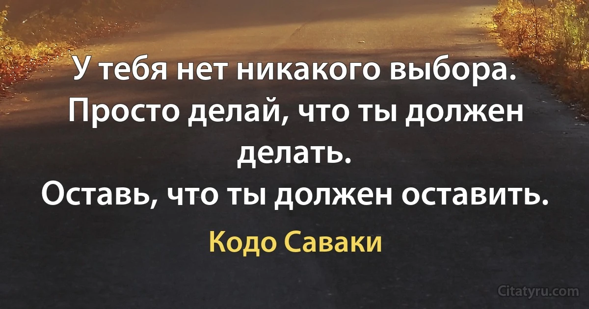 У тебя нет никакого выбора.
Просто делай, что ты должен делать.
Оставь, что ты должен оставить. (Кодо Саваки)