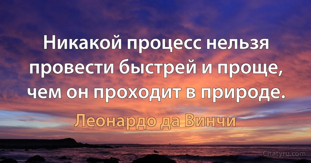 Никакой процесс нельзя провести быстрей и проще, чем он проходит в природе. (Леонардо да Винчи)