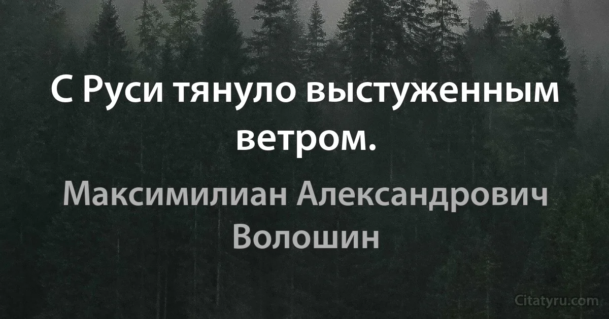 С Руси тянуло выстуженным ветром. (Максимилиан Александрович Волошин)