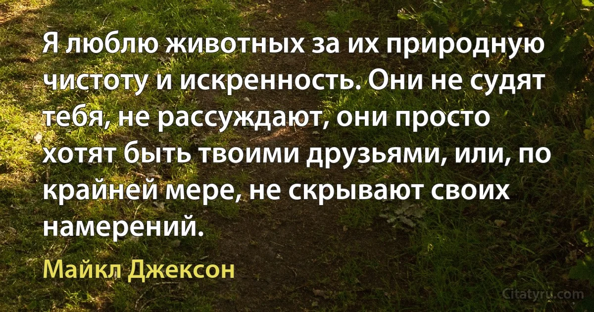 Я люблю животных за их природную чистоту и искренность. Они не судят тебя, не рассуждают, они просто хотят быть твоими друзьями, или, по крайней мере, не скрывают своих намерений. (Майкл Джексон)