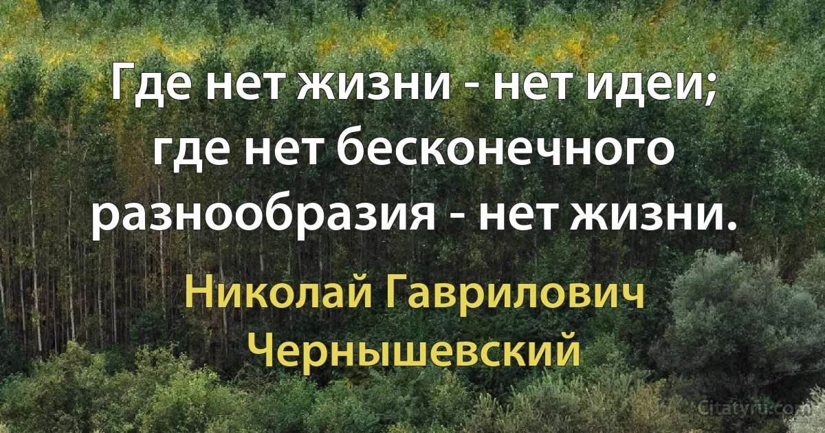 Где нет жизни - нет идеи; где нет бесконечного разнообразия - нет жизни. (Николай Гаврилович Чернышевский)