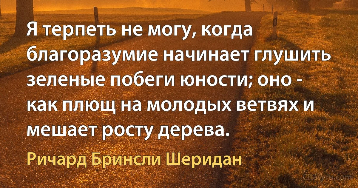 Я терпеть не могу, когда благоразумие начинает глушить зеленые побеги юности; оно - как плющ на молодых ветвях и мешает росту дерева. (Ричард Бринсли Шеридан)