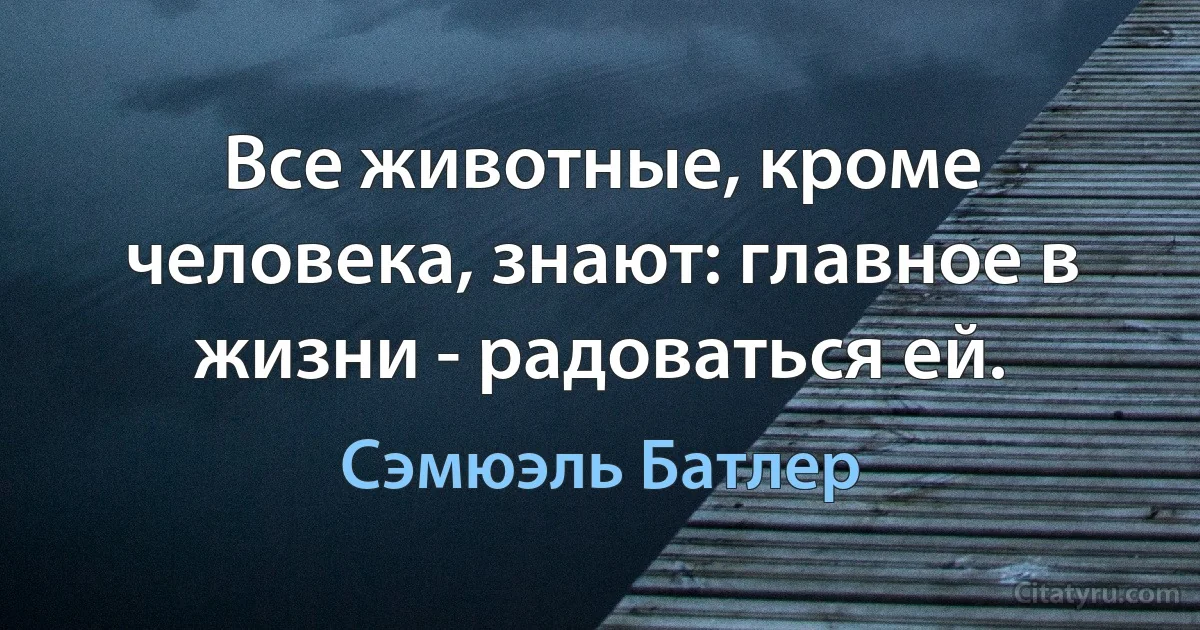 Все животные, кроме человека, знают: главное в жизни - радоваться ей. (Сэмюэль Батлер)