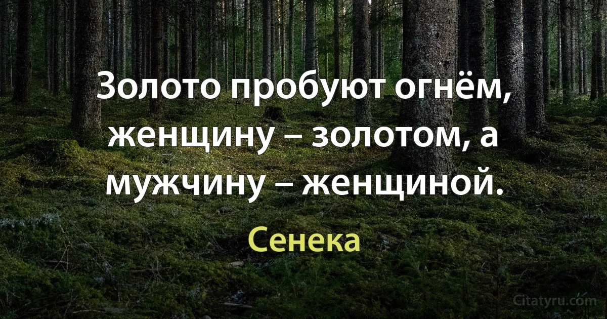 Золото пробуют огнём, женщину – золотом, а мужчину – женщиной. (Сенека)