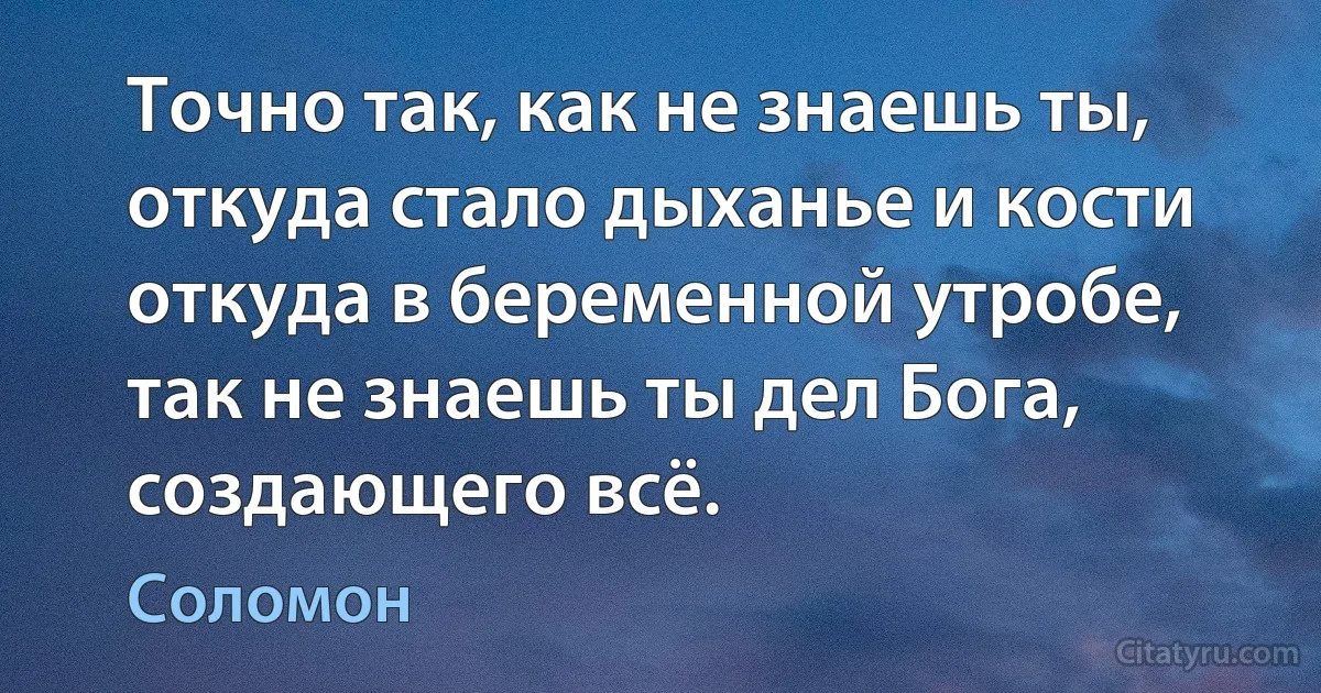 Точно так, как не знаешь ты, откуда стало дыханье и кости откуда в беременной утробе, так не знаешь ты дел Бога, создающего всё. (Соломон)