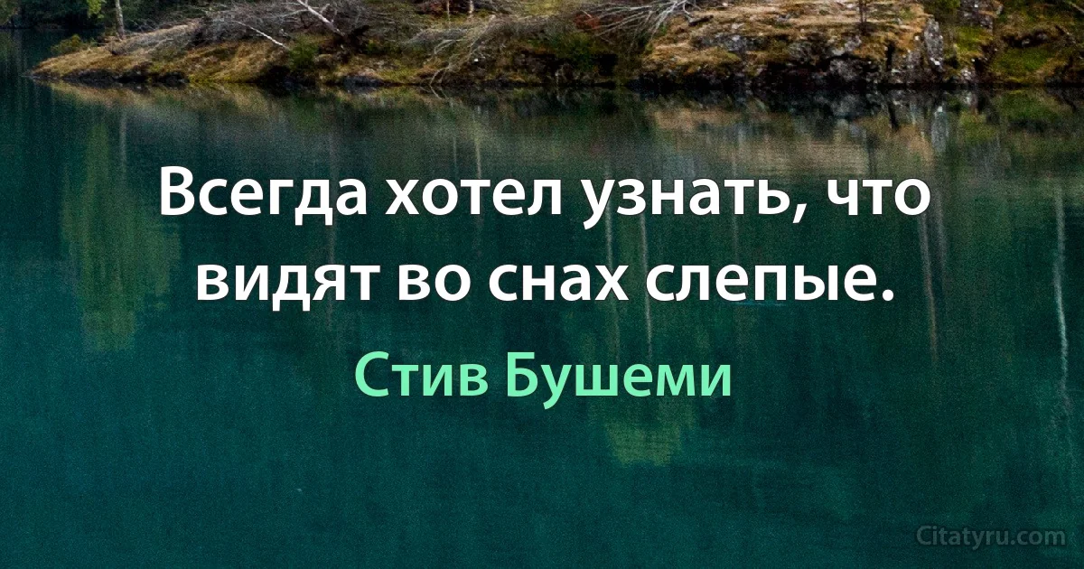 Всегда хотел узнать, что видят во снах слепые. (Стив Бушеми)