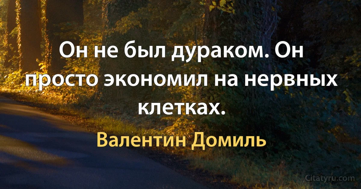 Он не был дураком. Он просто экономил на нервных клетках. (Валентин Домиль)