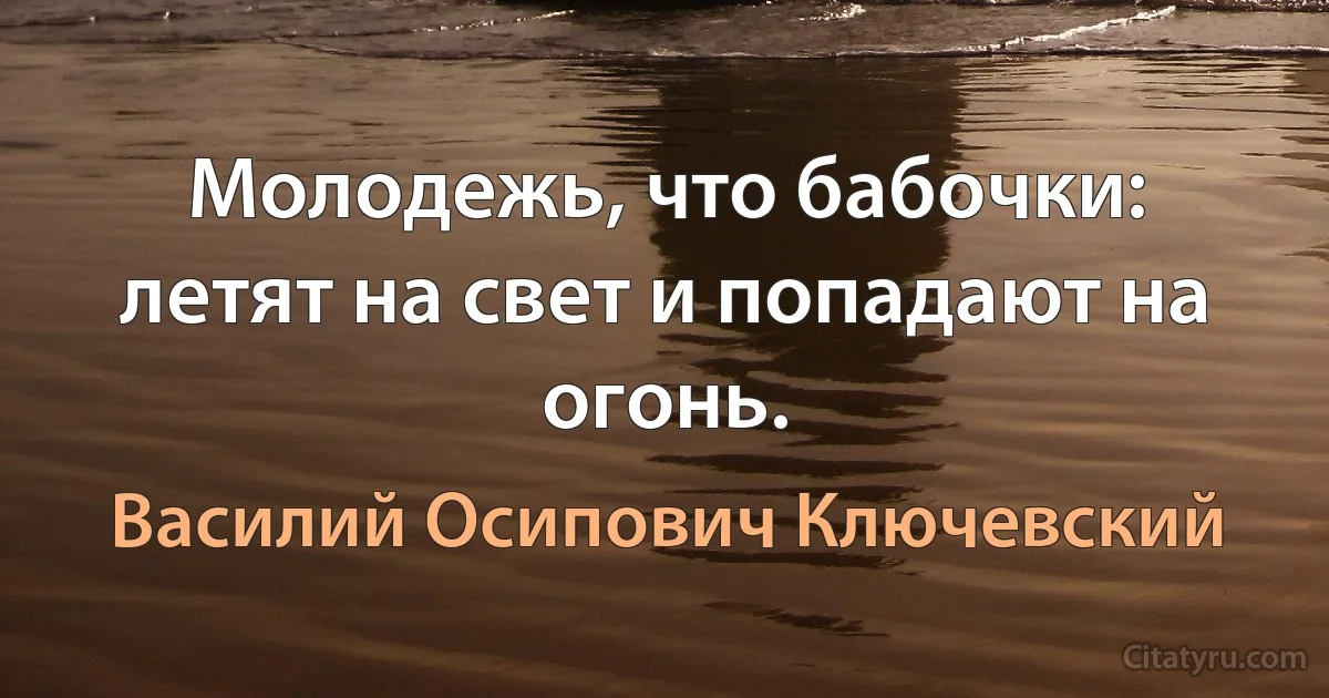 Молодежь, что бабочки: летят на свет и попадают на огонь. (Василий Осипович Ключевский)